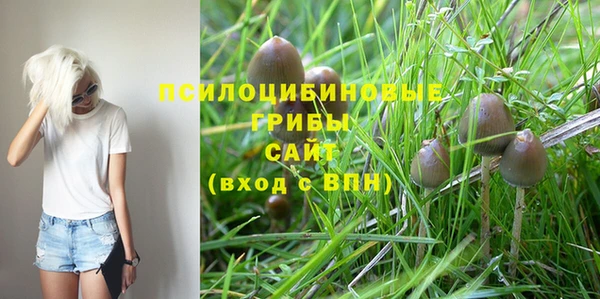кокс Арсеньев