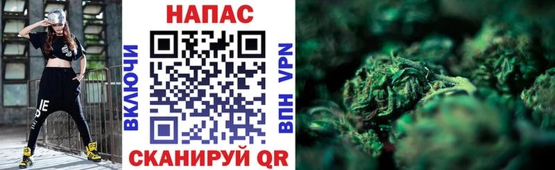 Бошки Шишки OG Kush  сколько стоит  Дмитриев 